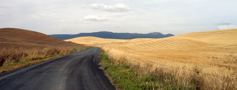 Rolling Hills of The Palouse