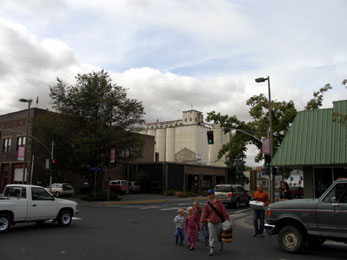 Latah County Grain Growers Inc