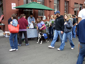 Dog Shopping Basket