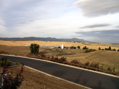 Farm near UI Campus