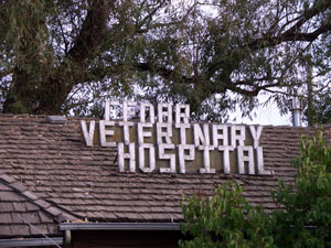 Cedar Veterinary Hospital